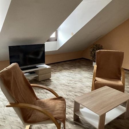 Appartamento Apartmán Na Ostrově Beroun Beroun  Esterno foto