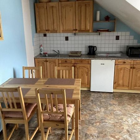 Appartamento Apartmán Na Ostrově Beroun Beroun  Esterno foto