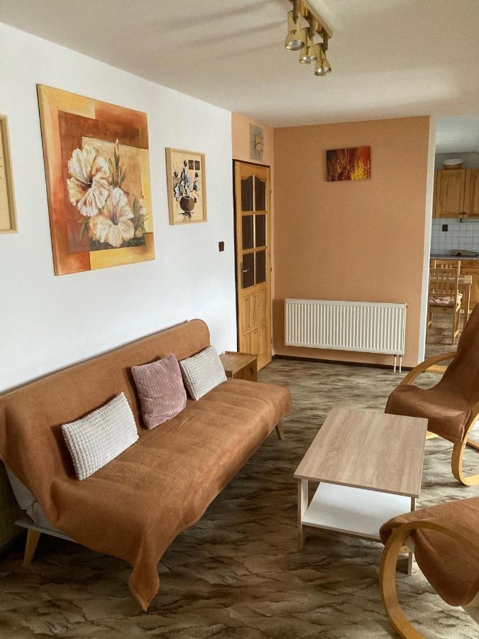 Appartamento Apartmán Na Ostrově Beroun Beroun  Esterno foto